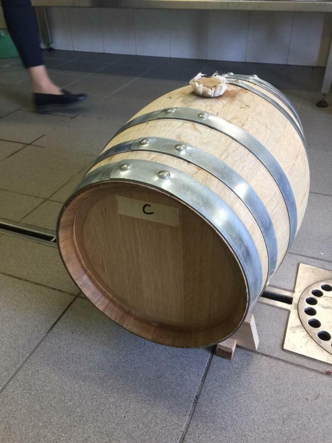 サン・マルティーノObergereuth Hof 1288アパートメント エクステリア 写真